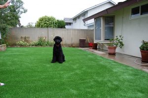 National City Artificial Turf Installer in 91950