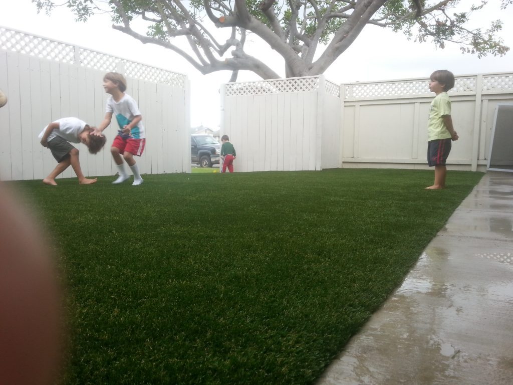 Synthetic Lawn Company Lemon Grove, Top Rated Artificial Turf Installation Company