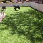 Synthetic Lawn Pet Turf Company Lemon Grove, Best Artificial Pet Turf Pricing