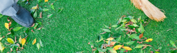 ▷Ways To Clean Your Artificial Grass Lemon Grove