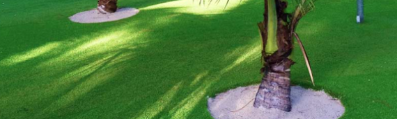 ▷5 Tips To Install Artificial Grass In Your Yard Around Trees Lemon Grove