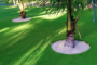 5 Tips To Install Artificial Grass In Your Yard Around Trees Lemon Grove