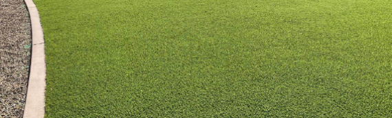 ▷8 Reasons Artificial Grass Is Suitable Replacement For Real Grass Lemon Grove