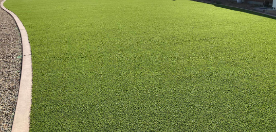 8 Reasons Artificial Grass Is Suitable Replacement For Real Grass Lemon Grove