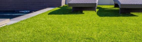 ▷How To Select The Best Artificial Grass For Your Lawn Lemon Grove?