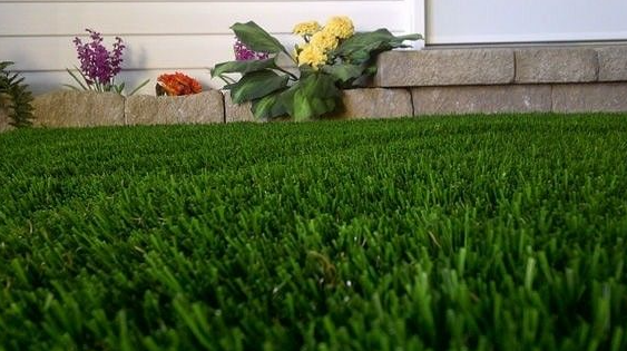 How To Maintain Artificial Grass In Spring Season In Lemon Grove?