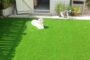 How To Clean Pet Artificial Turf In Lemon Grove?