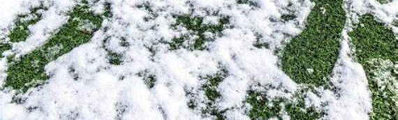 ▷5 Tips To Use Snow Blower On Artificial Grass To Remove Snow In Lemon Grove